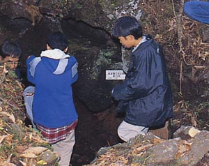 河口湖フィールドセンター