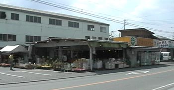 早川ストアー