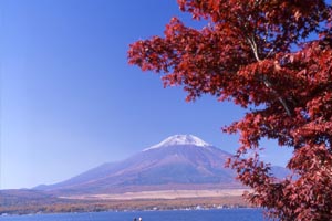 山中湖長池から富士山を