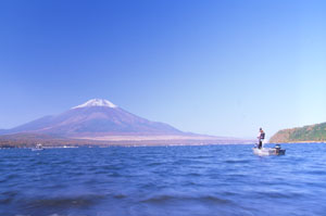 山中湖東岸（平野）