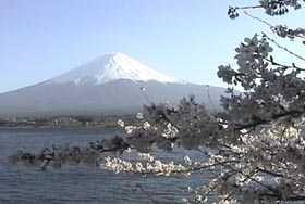 河口湖大石の逆さ富士