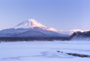 精進湖から富士山