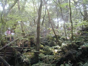 青木ヶ原樹海と洞窟探検