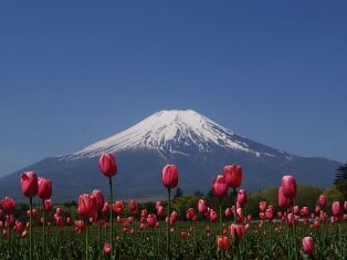 山中湖ペンション ブルーリボン