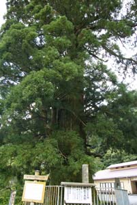 精進湖諏訪神社