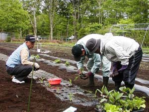 10坪貸し出し農園