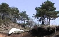大権道峠