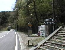 paiurhei.jpg (9520 バイト)