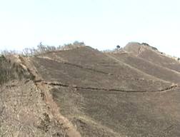 荒涼とした登山道。伐採道路もある。