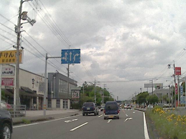 旅する画像