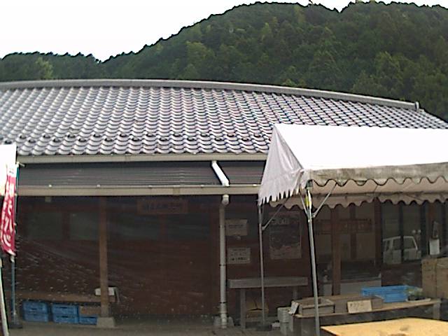 旅する画像
