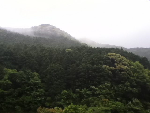 旅する画像