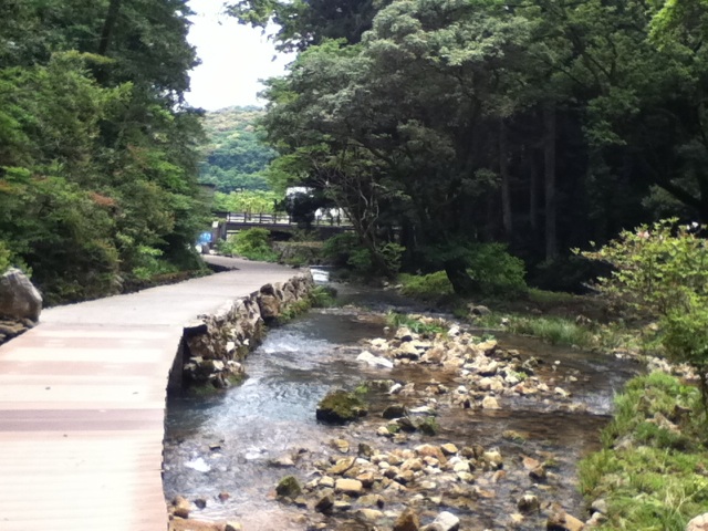 旅する画像