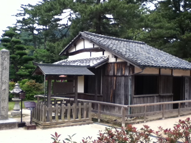 旅する画像