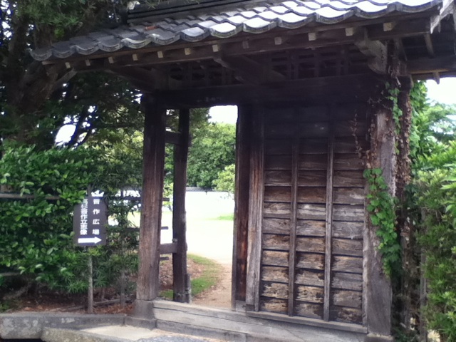 旅する画像