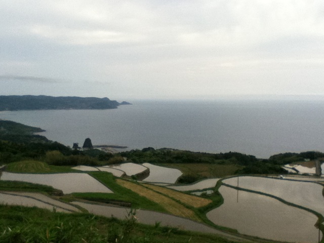旅する画像