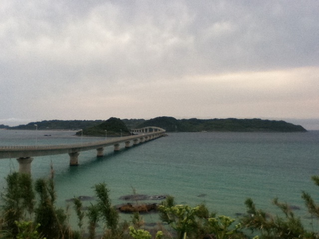 旅する画像