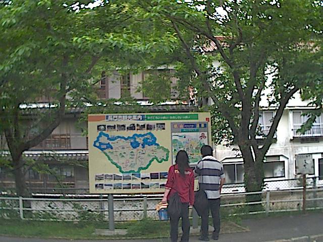 旅する画像
