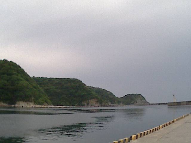 旅する画像