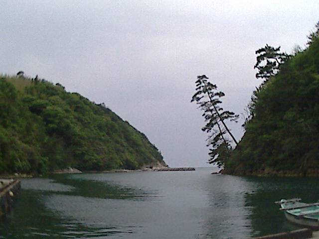 旅する画像