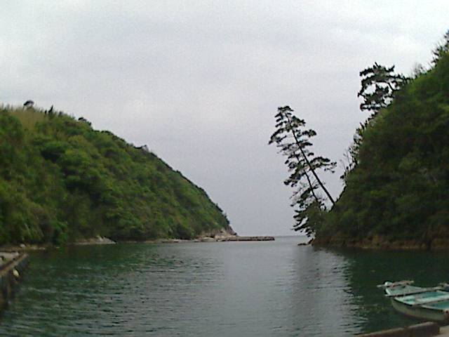 旅する画像