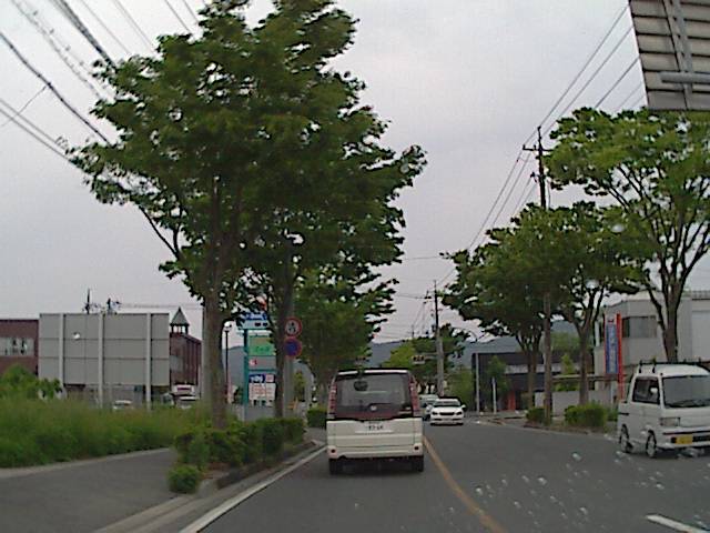 旅する画像