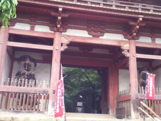 旅する画像