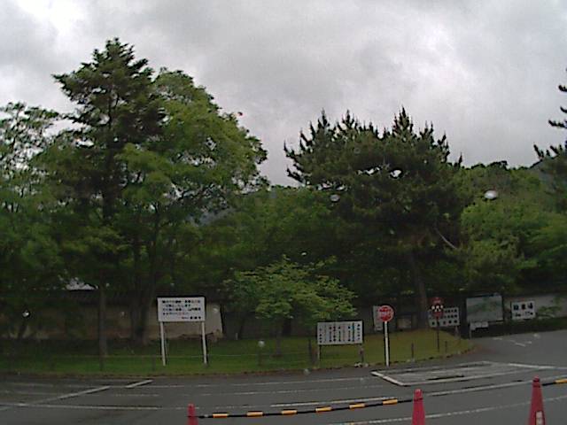 旅する画像