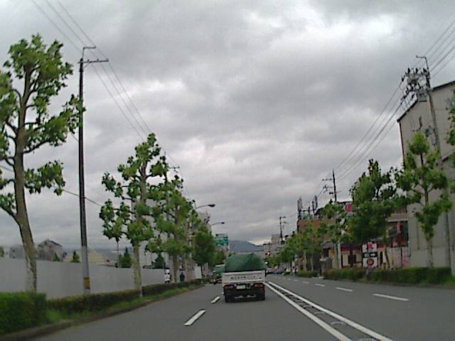 旅する画像