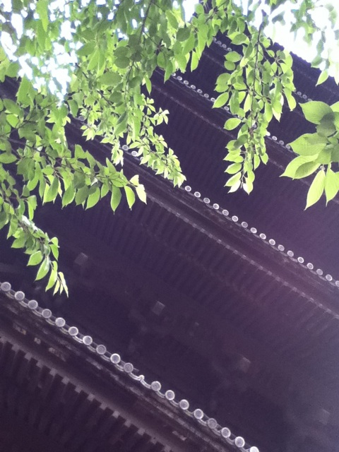 旅する画像