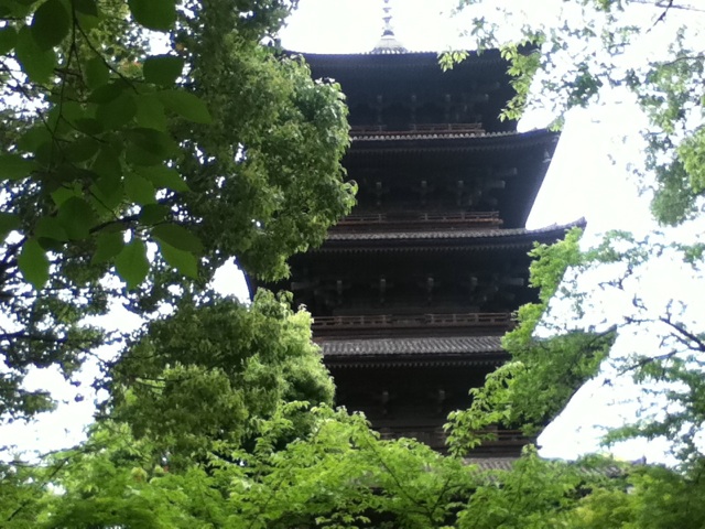 旅する画像
