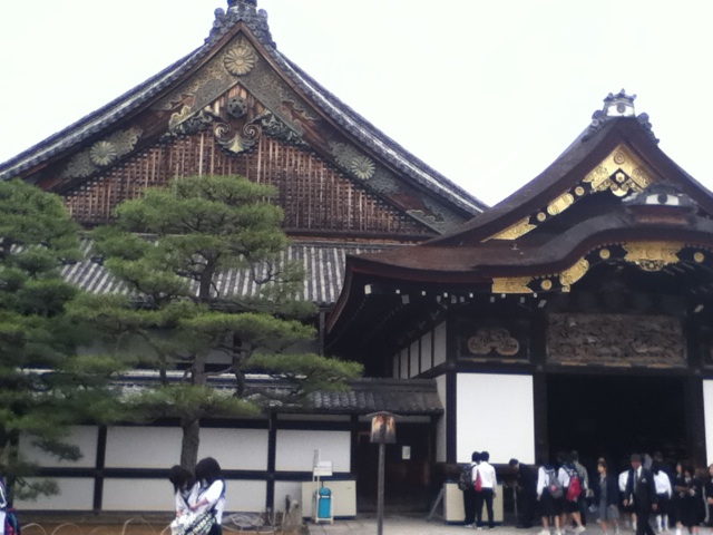 旅する画像