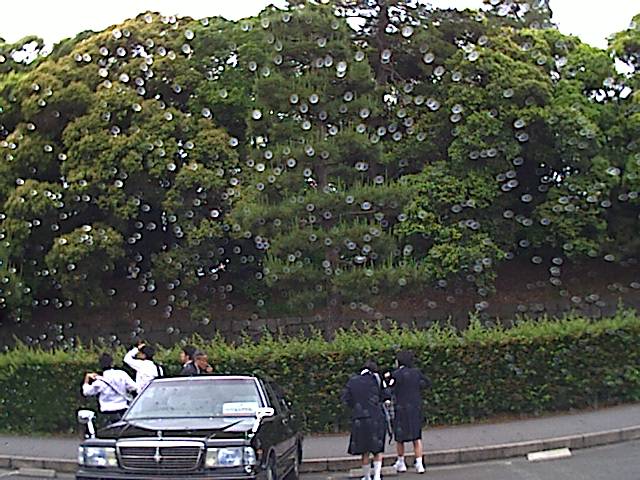 旅する画像