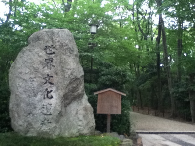 旅する画像