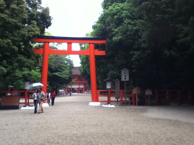 旅する画像