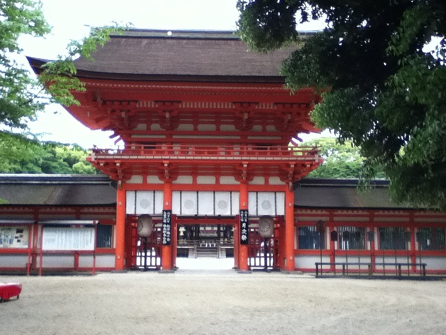 旅する画像