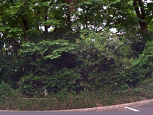 旅する画像