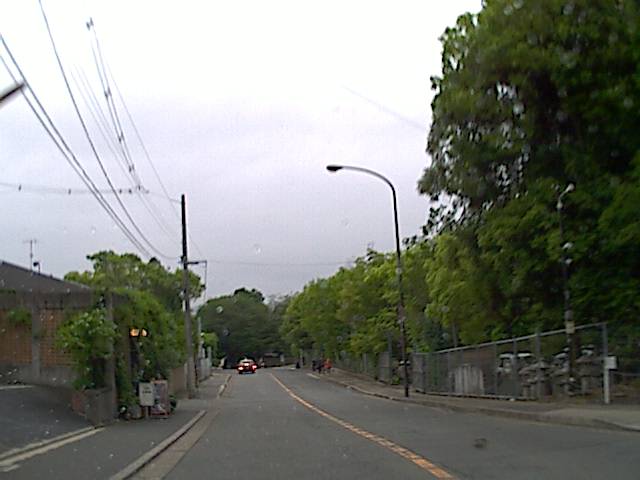 旅する画像