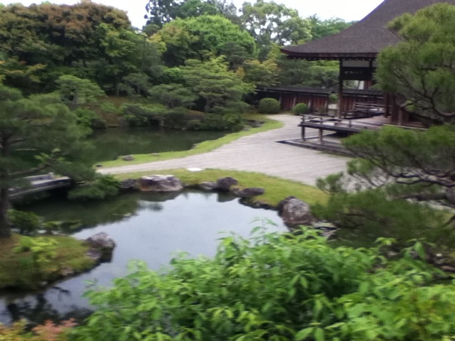旅する画像