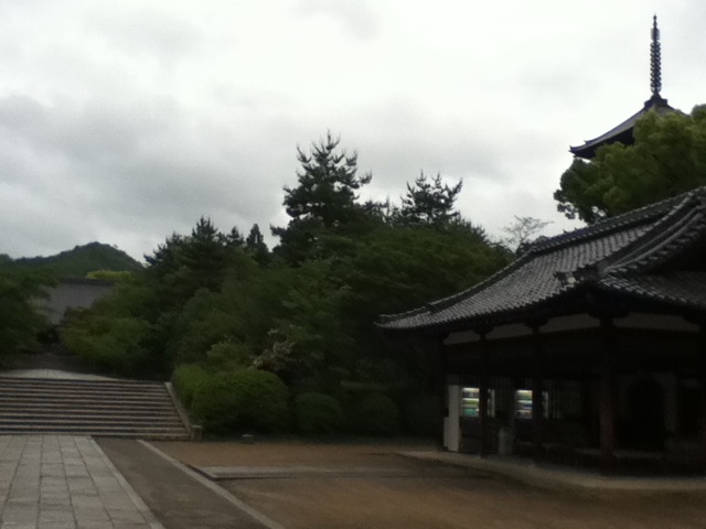 旅する画像