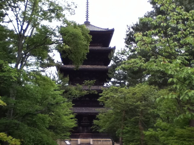 旅する画像