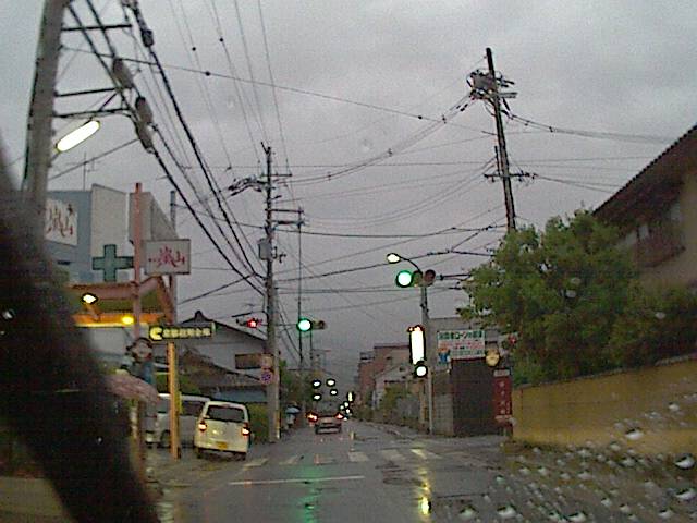 旅する画像