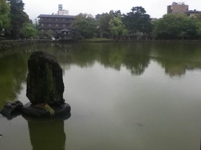 旅する画像