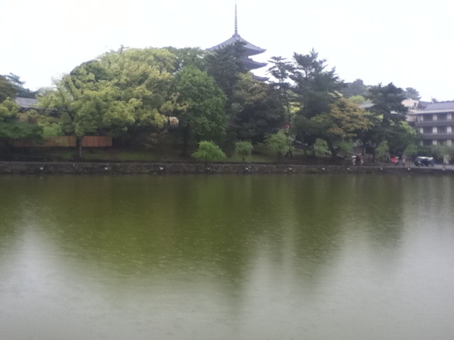 旅する画像