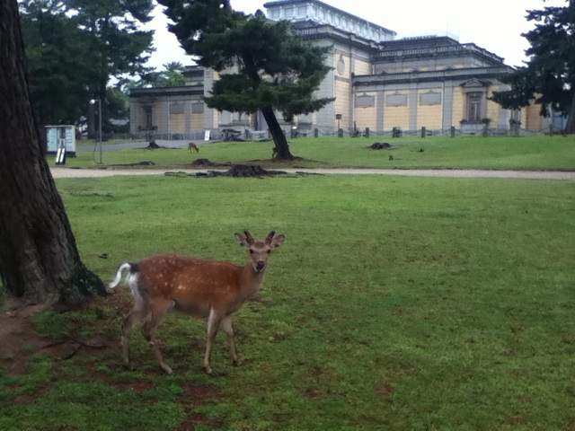 旅する画像