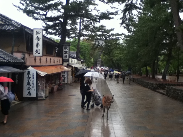 旅する画像