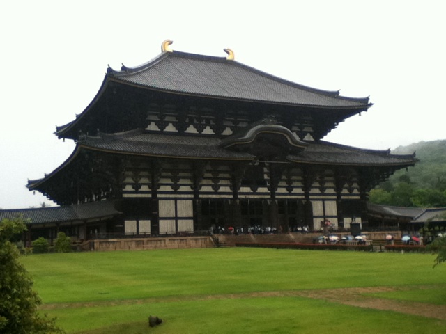旅する画像