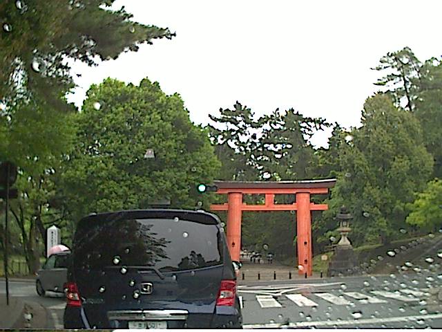 旅する画像