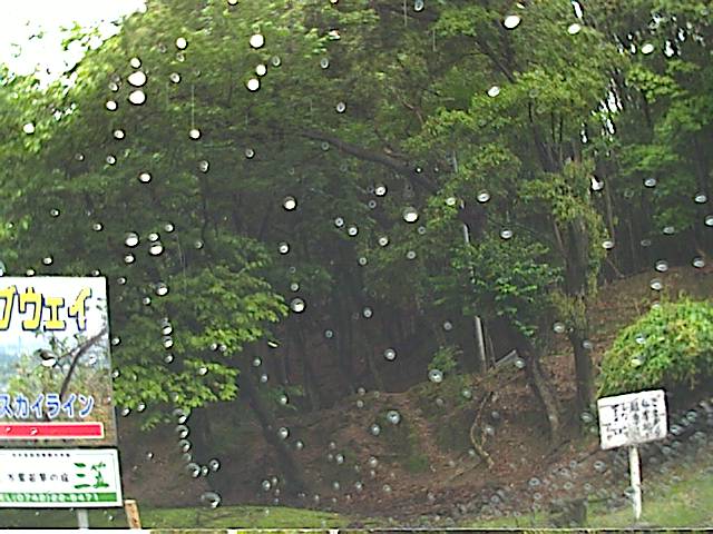 旅する画像