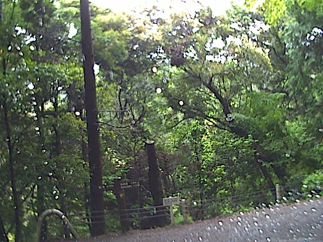 旅する画像